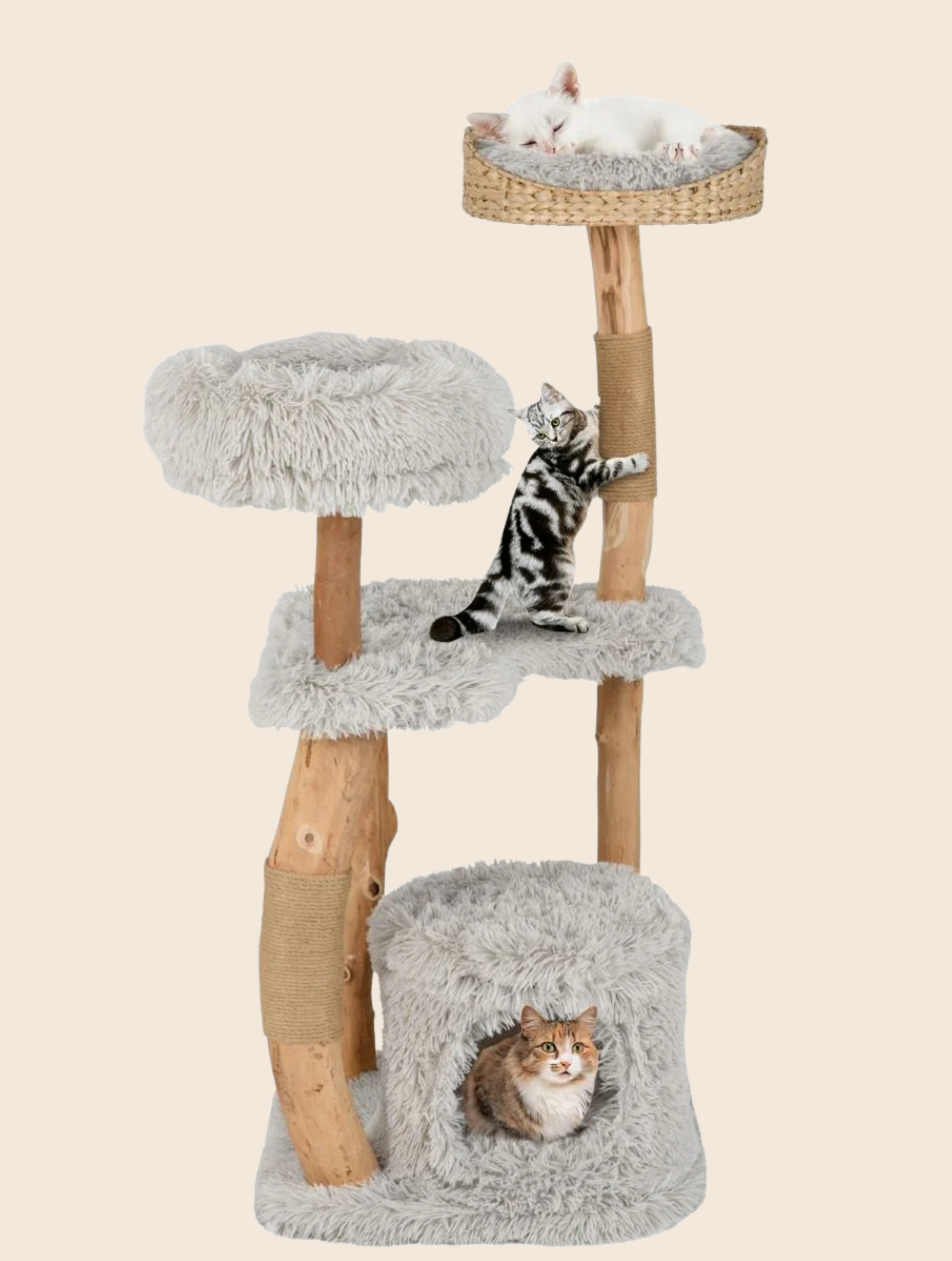 Massivholz-Kratzbaum grau - 124cm