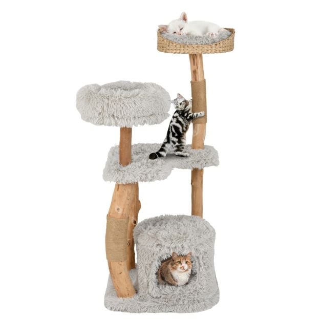 Massivholz-Kratzbaum grau - 124cm